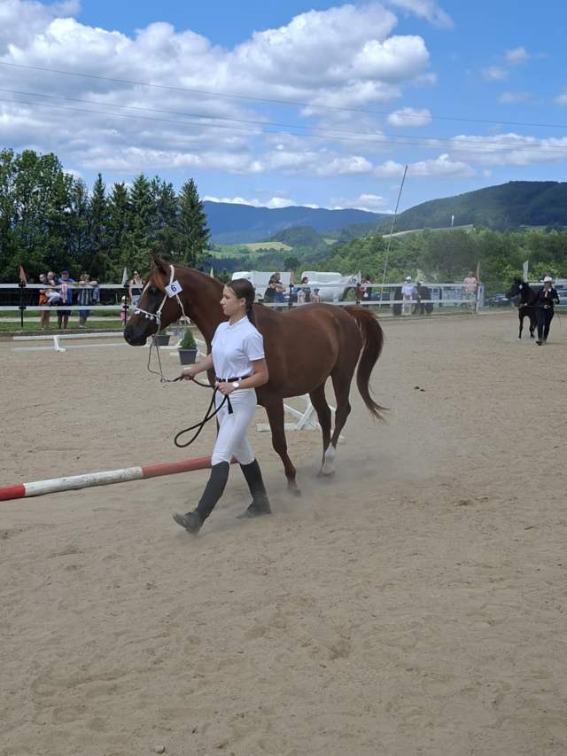 472eceec-222c-4695-971a-595c96fe96b3